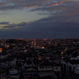 草莓视频在线观看免费完整
