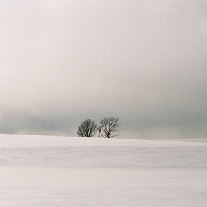 草莓视频在线观看免费完整
